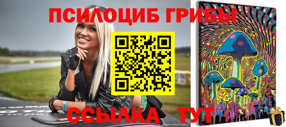 Галлюциногенные грибы ЛСД Дзержинский