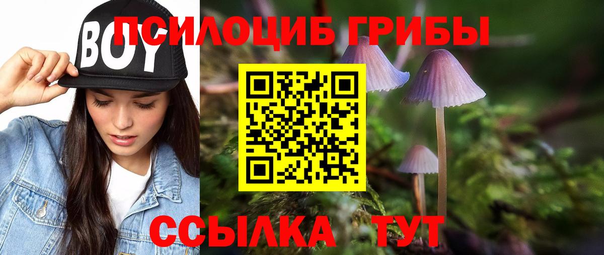 Галлюциногенные грибы Magic Shrooms  Вход с VPN  Дзержинский  Псилоцибиновые грибы прущие грибы 
